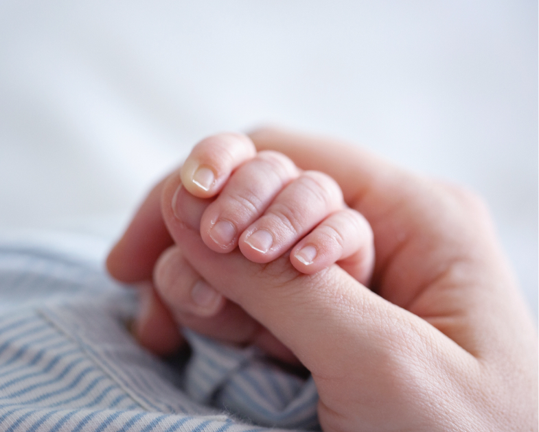 Infant holding a hand